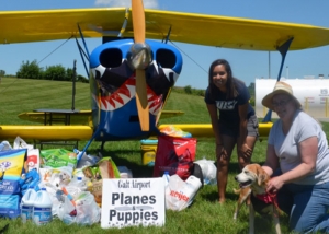 Planes And Puppies Feature Image